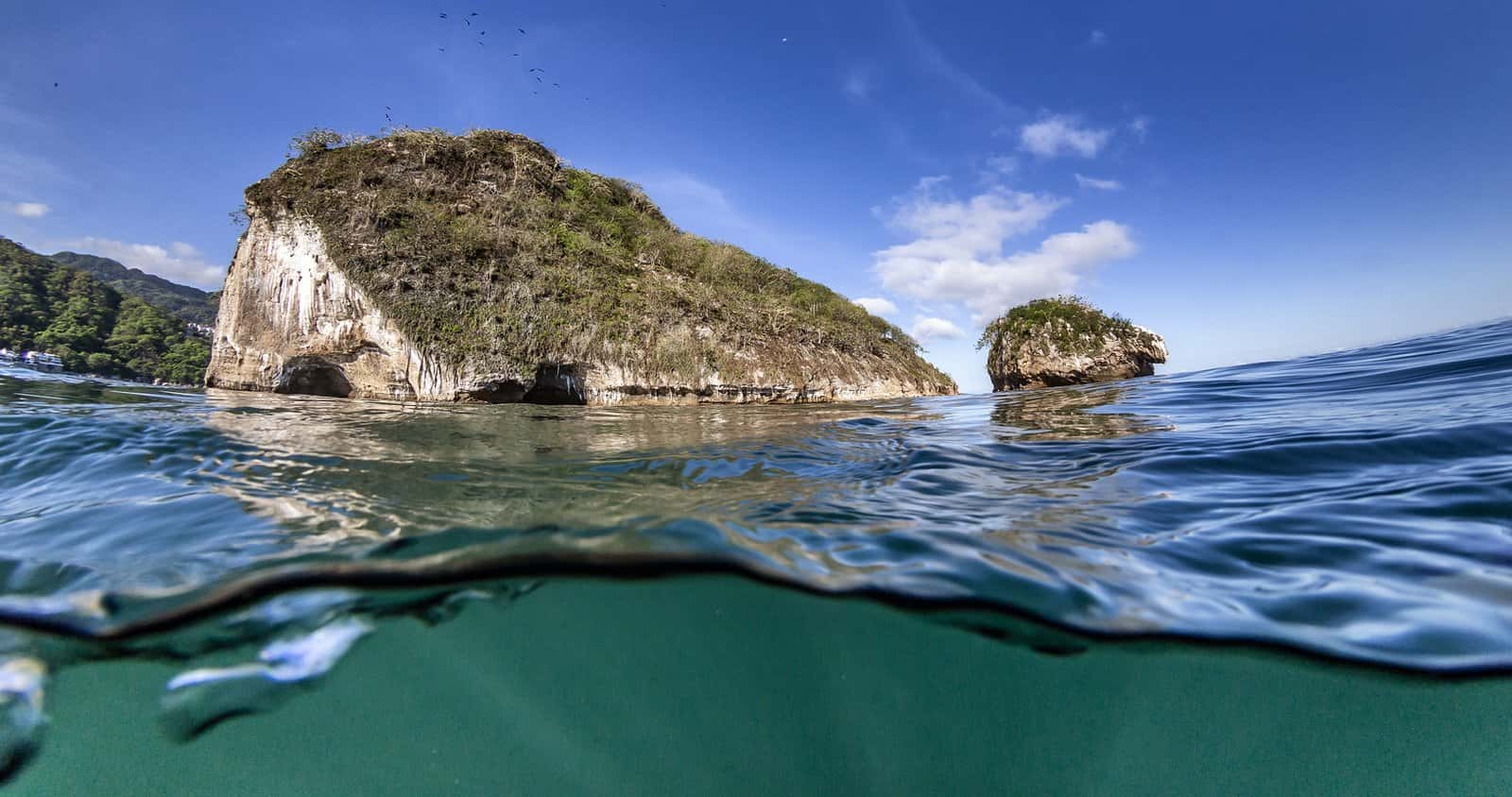 Banderas Scuba Republic — photo 2