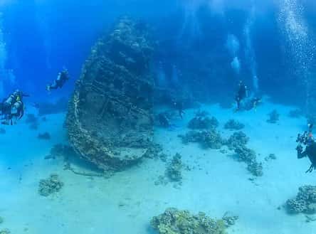 Alpha Divers — photo 3
