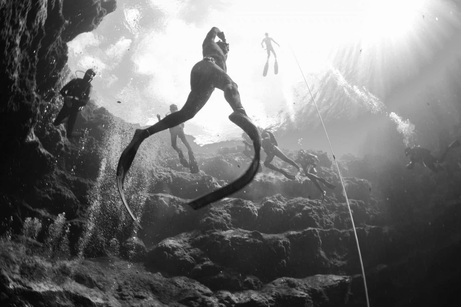 Evolve Freediving