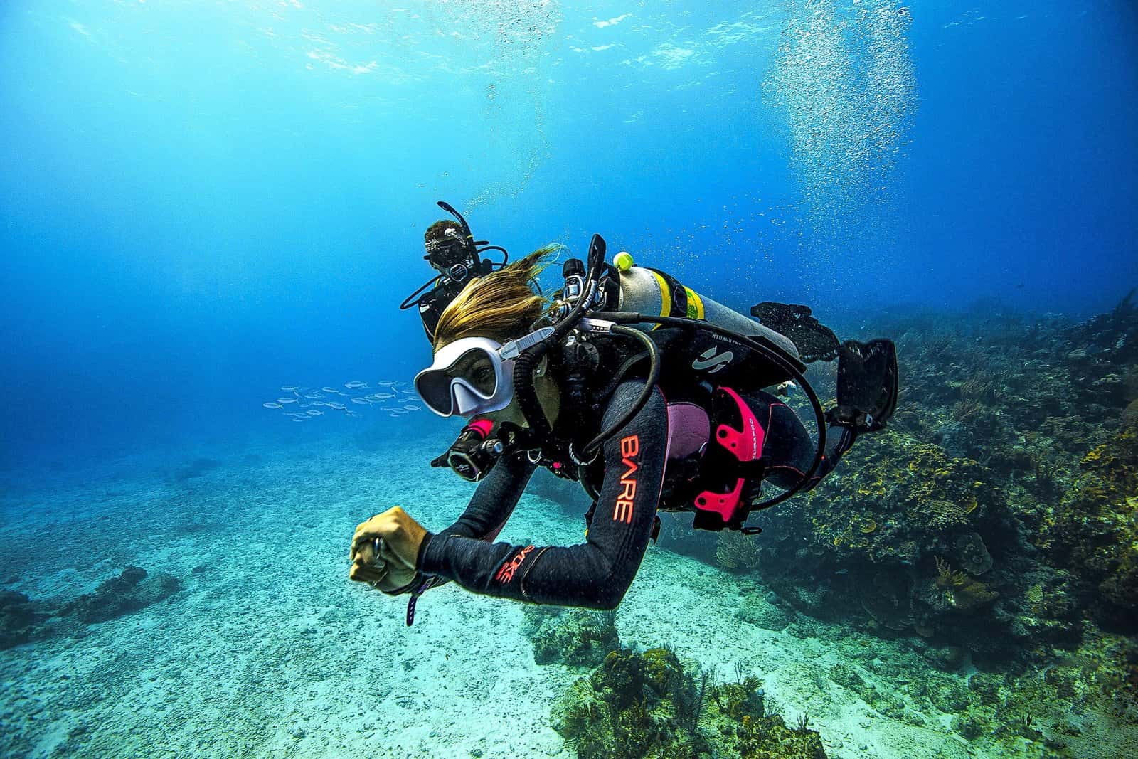 Dive Cabo — photo 3
