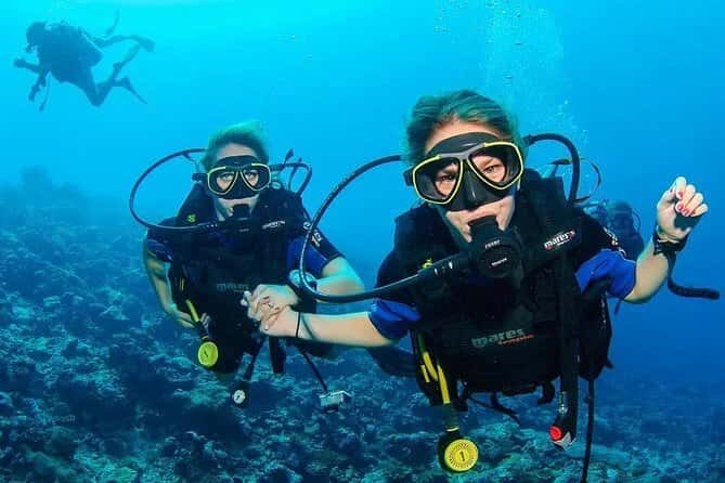 In 2 Deep Diving Inc. — photo 3
