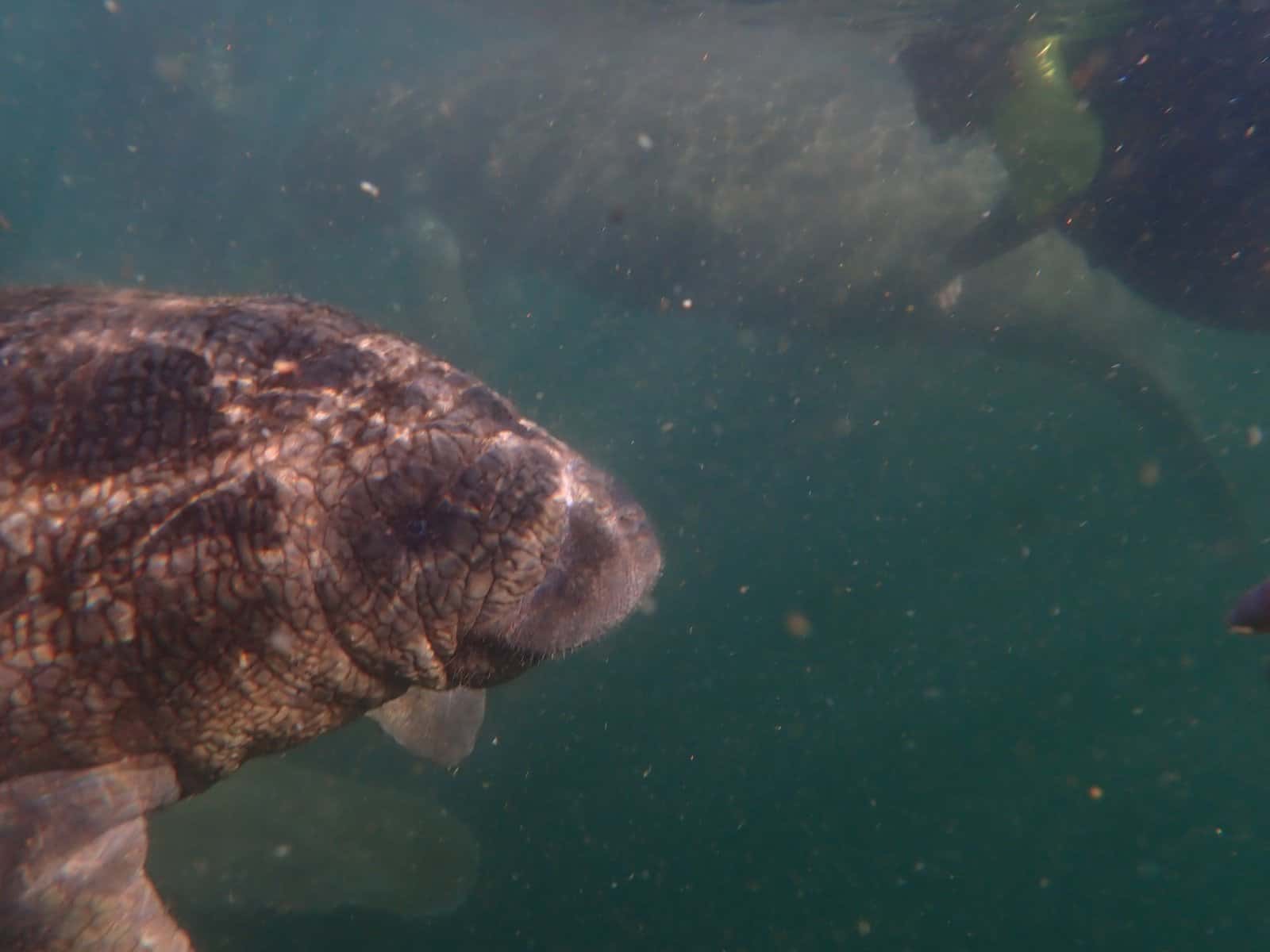 North Alabama Dive Center — photo 3