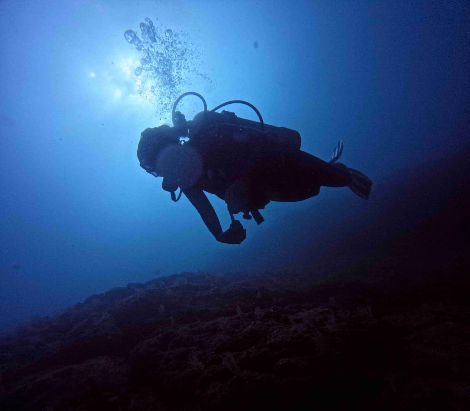 Under The Sea Diving — photo 2