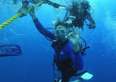 Captain Hook's Dive Key West — photo 5