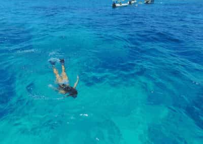 Captain Hook's Dive Key West