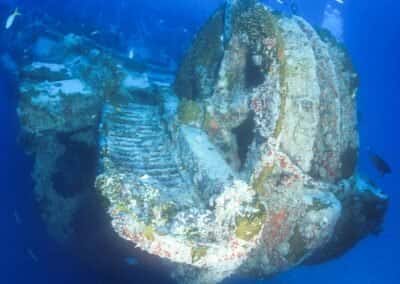 Captain Hook's Dive Key West — photo 3