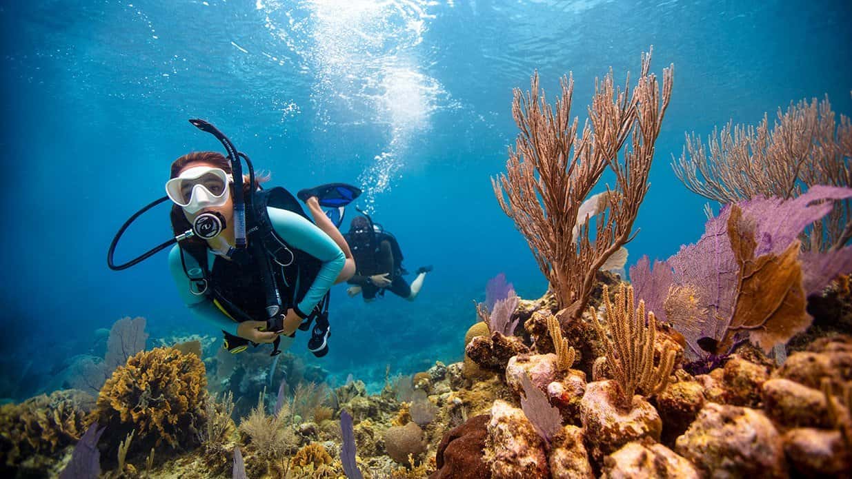 North American Divers