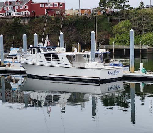 Dockside Charters
