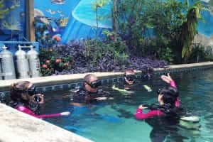Captain's Corner Dive Center