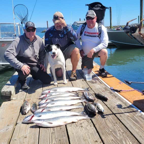 Fast Action Fishing