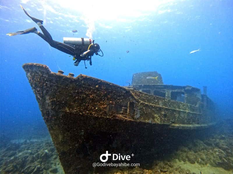 Go Dive Bayahibe — photo 4
