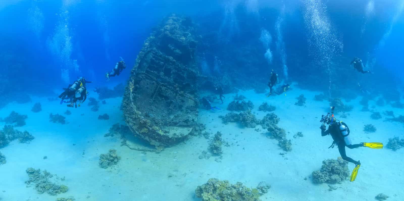 No Shenanigans Diving