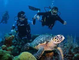 The Scuba Shop