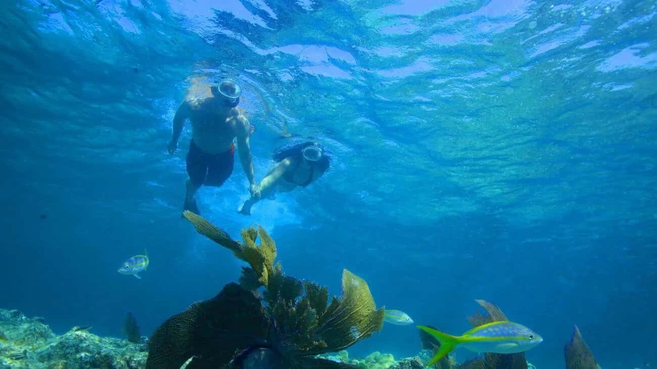 Discount Key West — photo 4