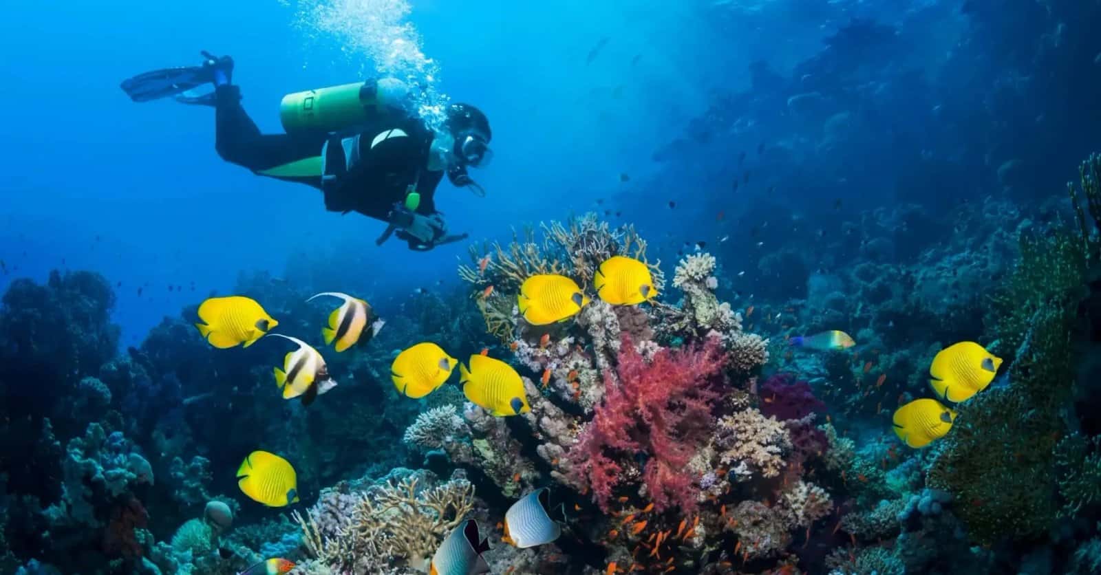 Depth Perception Dive Center