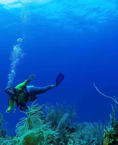 Splash Dive Center