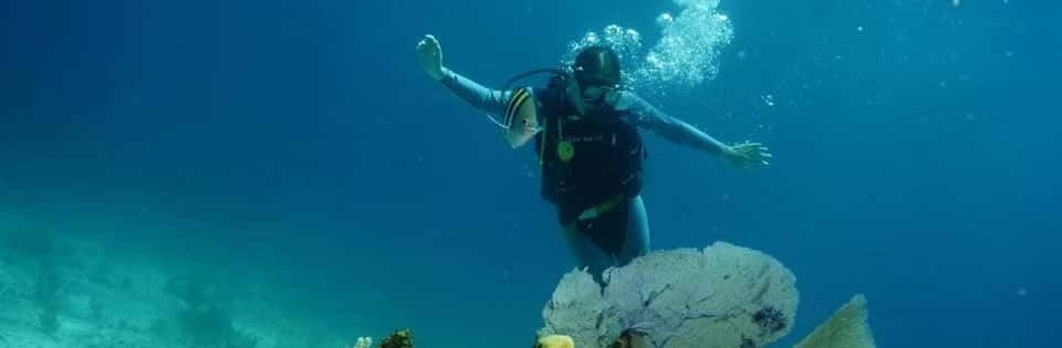 Blue Dive Cancun