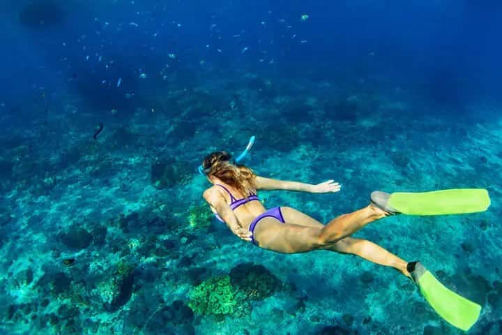 Grove Scuba — photo 5