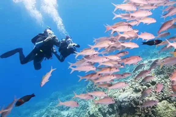 Southpoint Divers — photo 2
