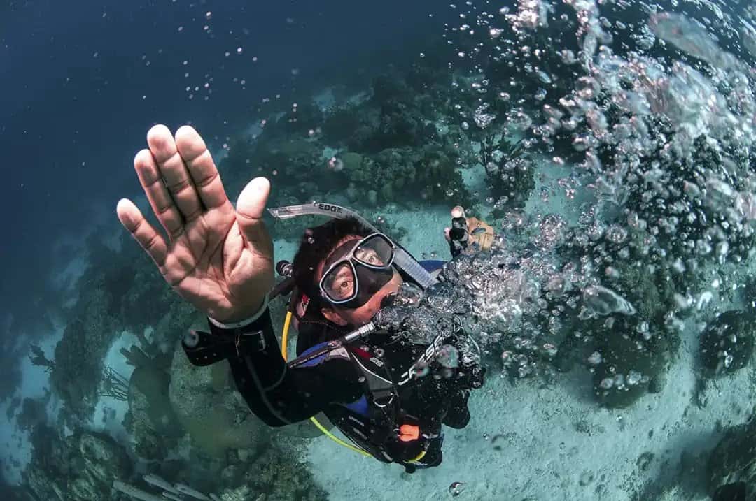 Southpoint Divers