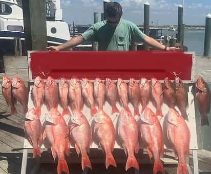 Blue Water Excursions Deep Sea Fishing