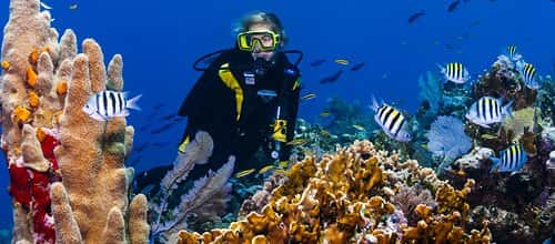 Divers Supply Macon — photo 2