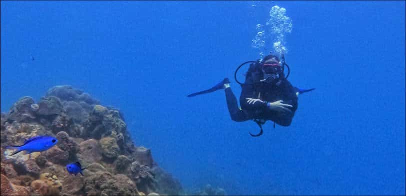 Nautilus Dive Taganga — photo 3