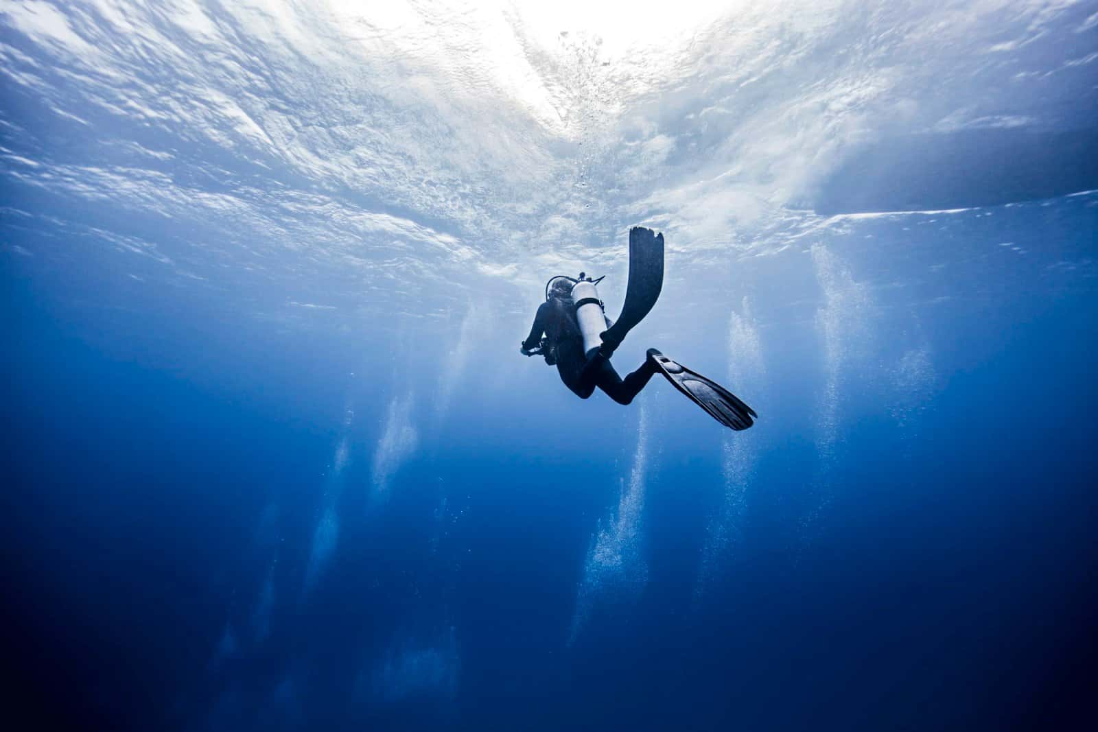 Sandy Bay Divers