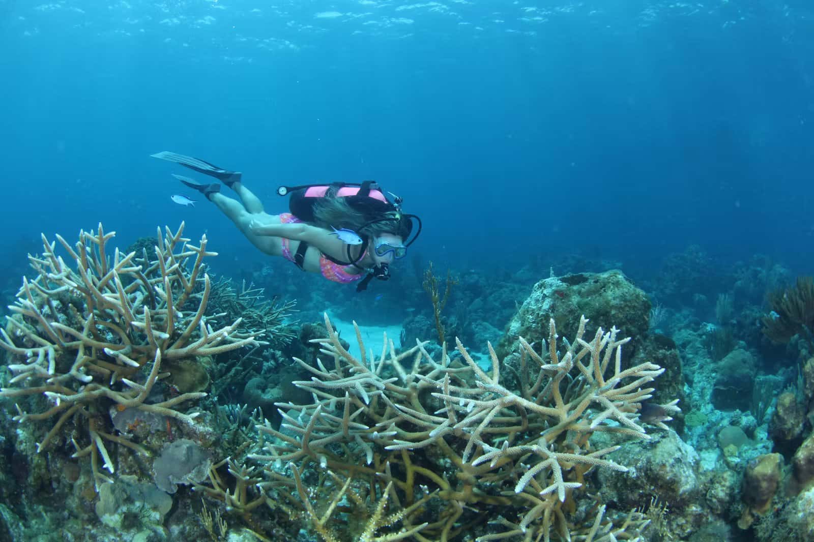 Atlantis Varadero Scuba Diving Center