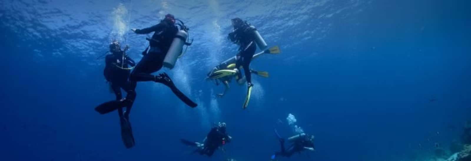 Atlantis Varadero Scuba Diving Center — photo 2