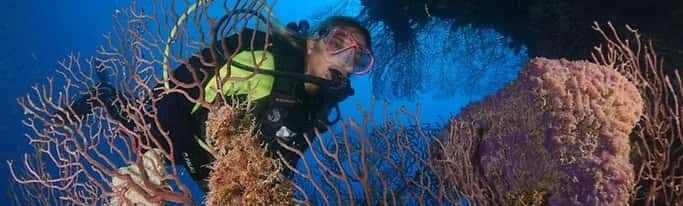 Atlantis Varadero Scuba Diving Center — photo 4