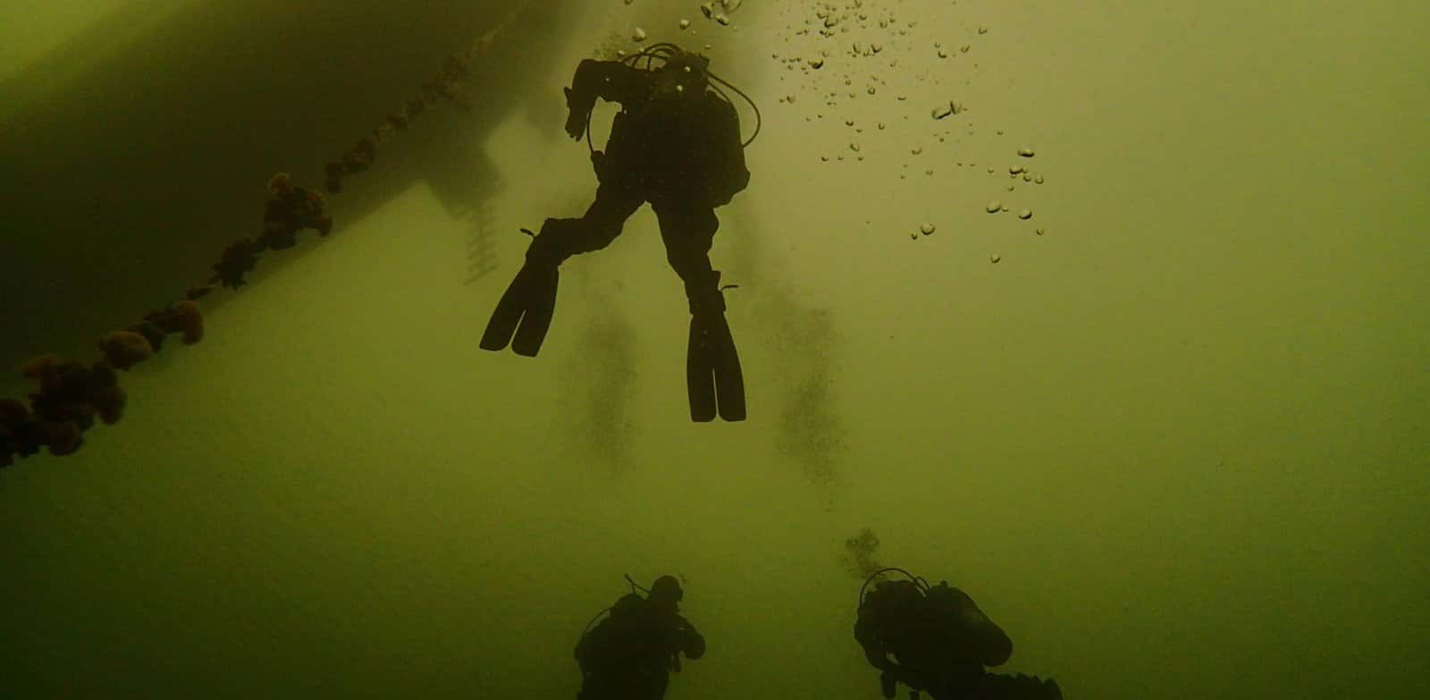 Argonaut Diving — photo 3