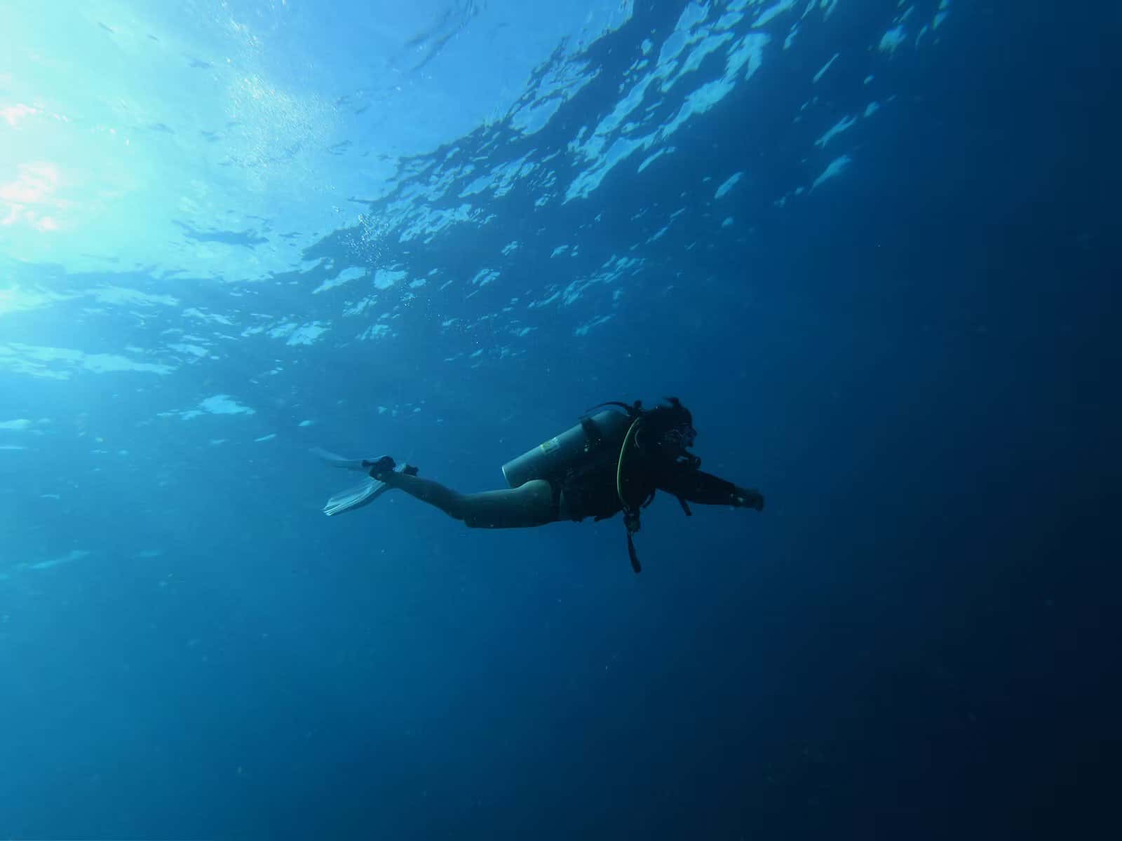 Deep Blue Dive Therapy Inc