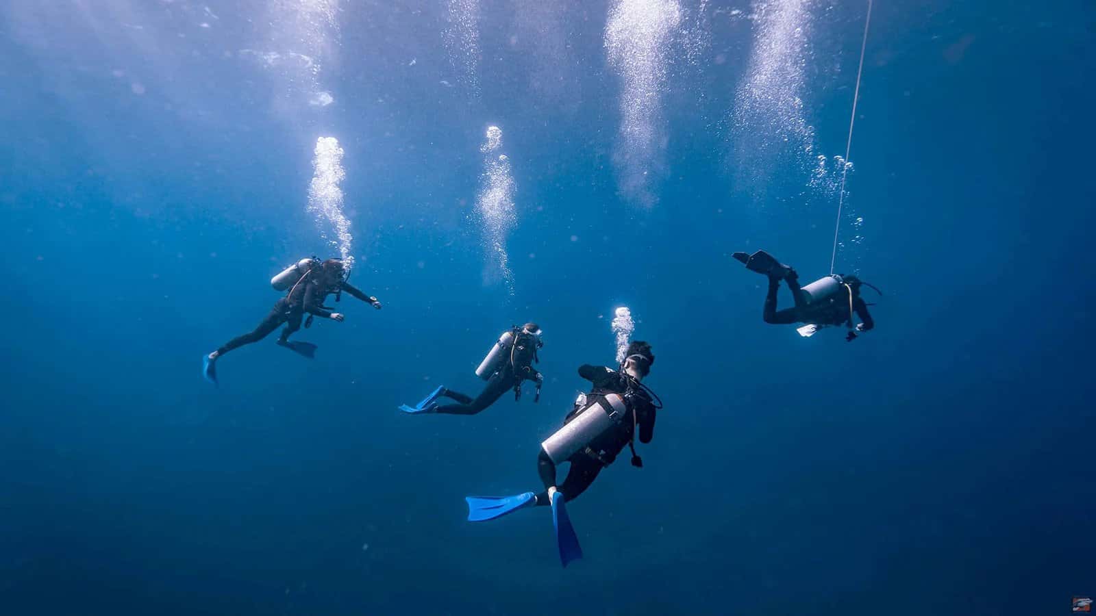 Deep Blue Bayahibe Diving — photo 2