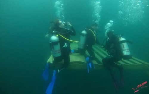 Easy Divers Memphis