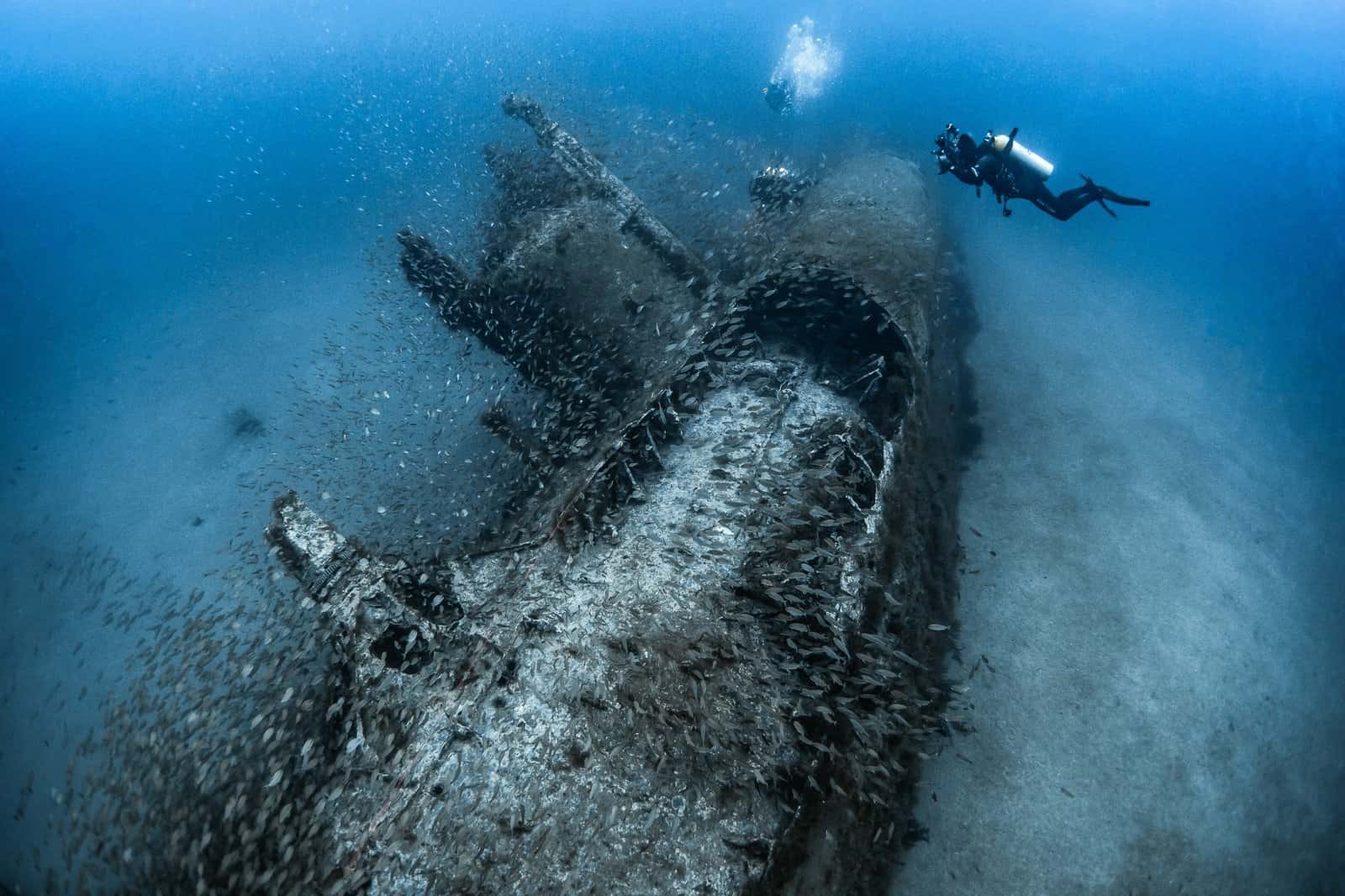 Olympus Dive Center — photo 5