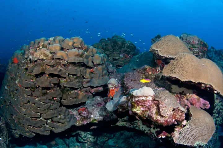 Texas Caribbean Charters — photo 4