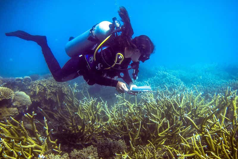 SCUBA ETC.