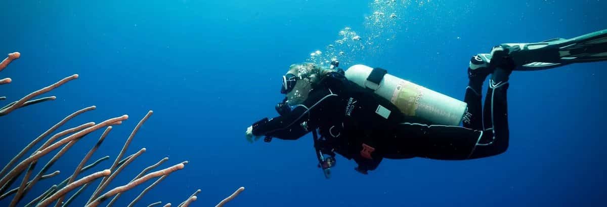 Tank'd Pro Dive Center