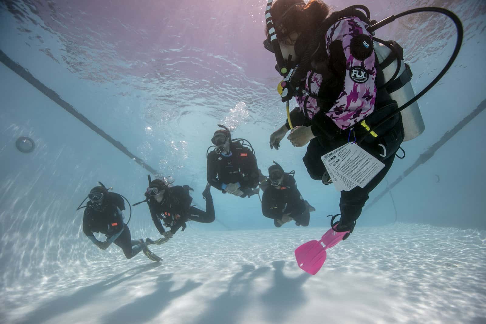 Cruise Fish Dive — photo 2