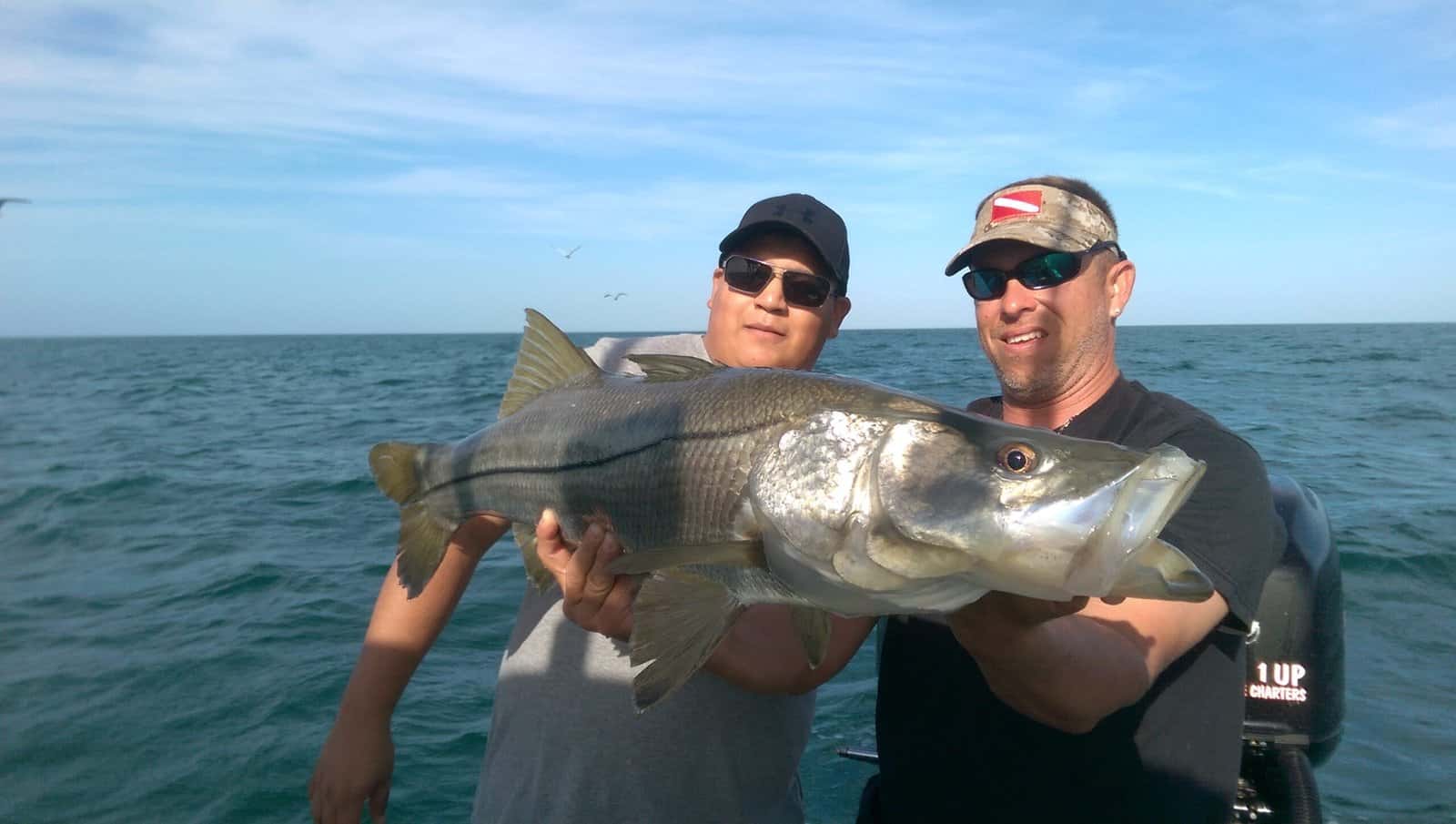 Cruise Fish Dive