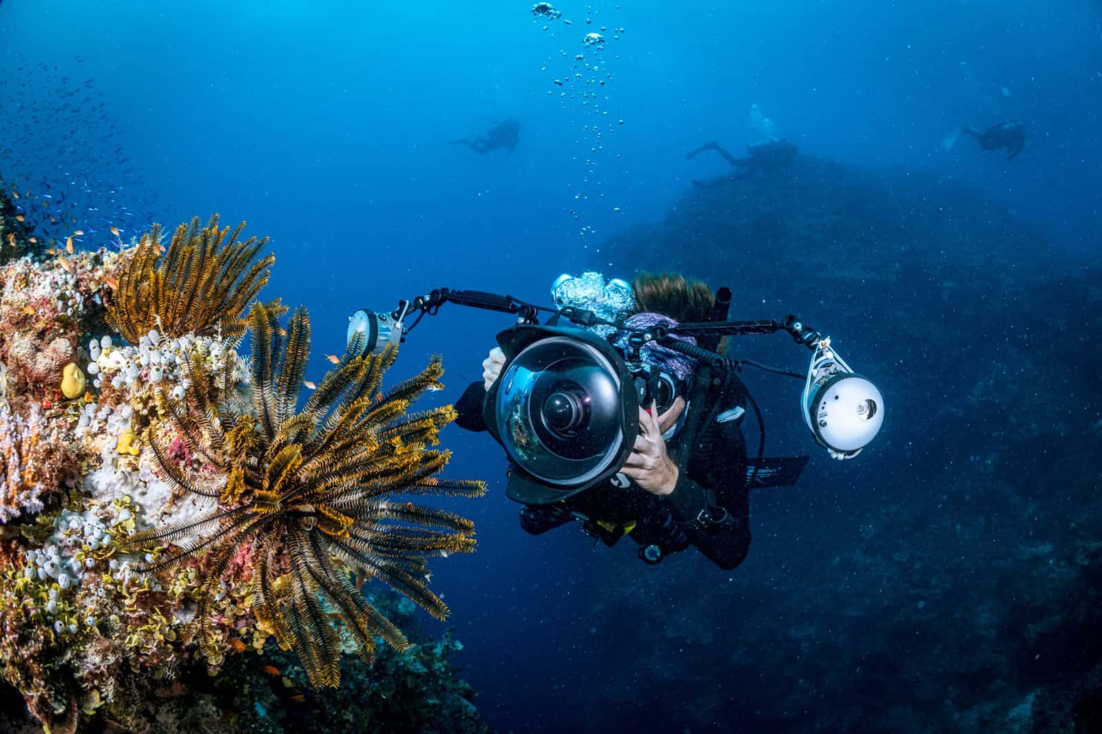 Divers Cove — photo 2