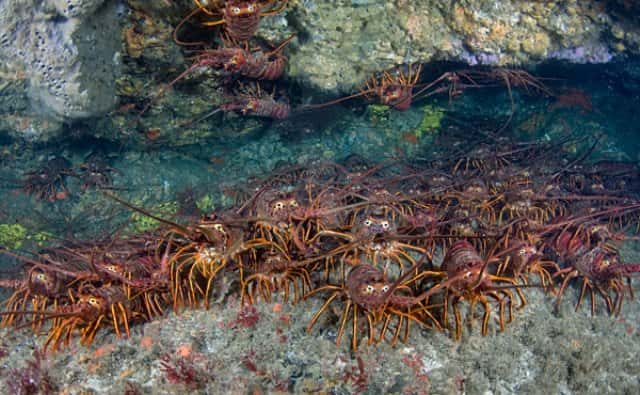 Anderson's Scuba Diving — photo 3