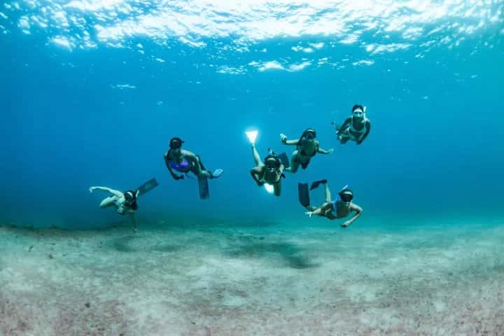 Live Free Diving — photo 2