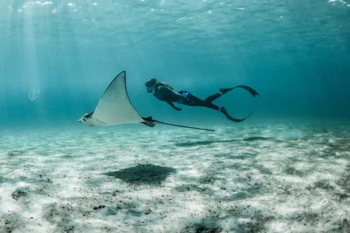 Live Free Diving — photo 3