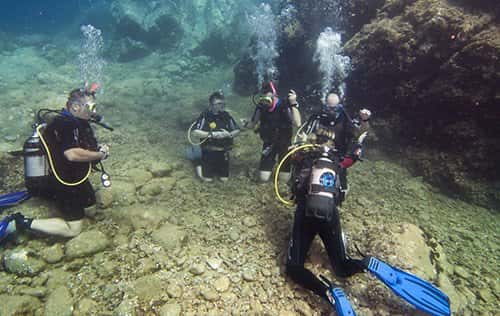 Gulf Coast Scuba