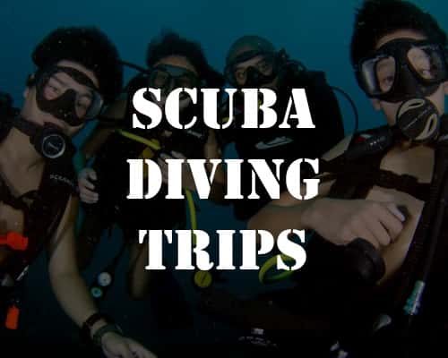 Banderas Scuba Republic