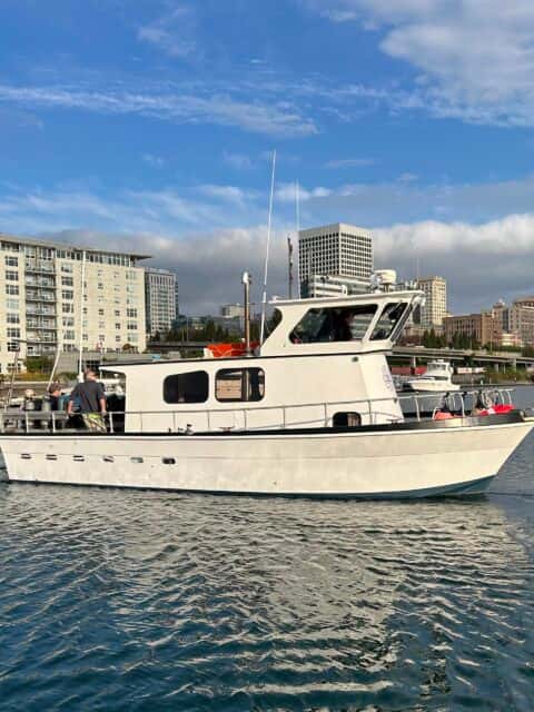 Bandito Charters