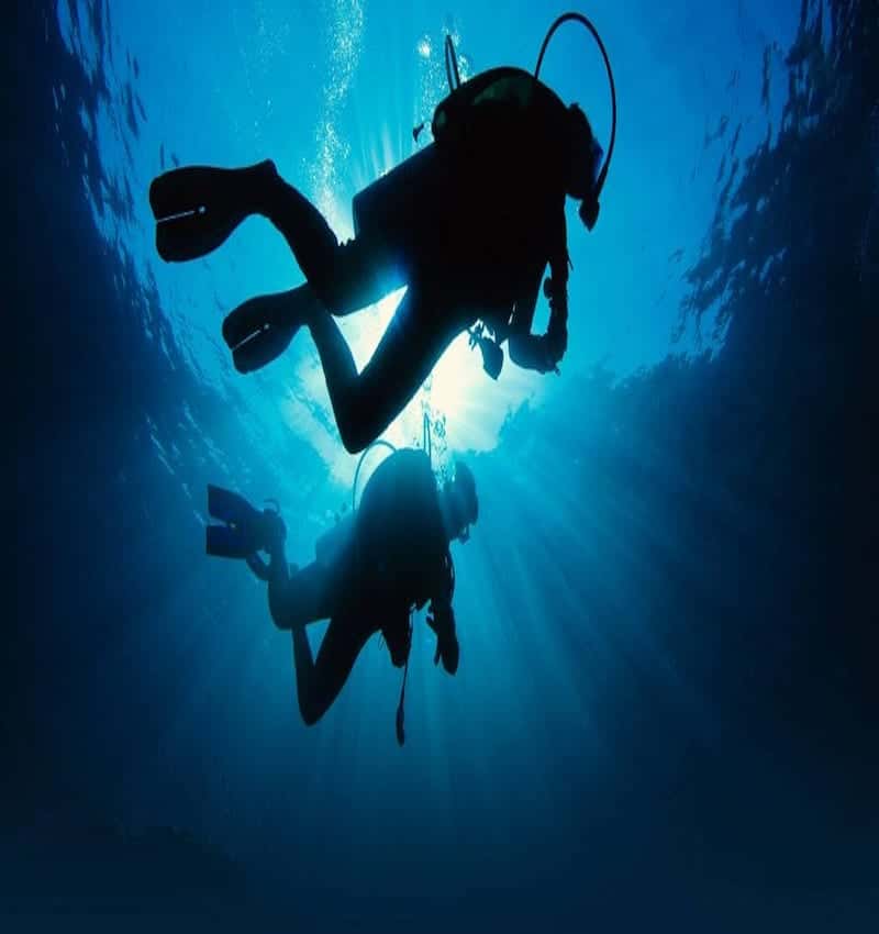 Birds Underwater Dive Center