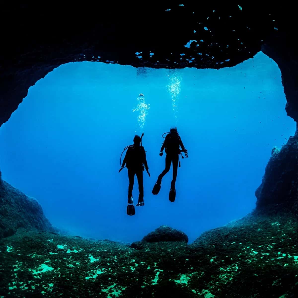Blue Adventures Diving — photo 2